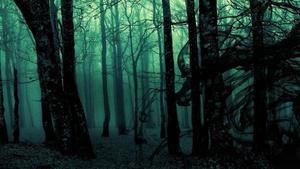 The Dark Woods are Calling horror wallpaper
