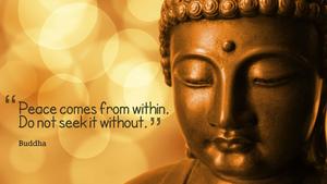The Enlightened Wisdom of Buddha buddha wallpaper