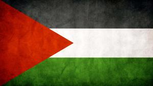 the flag of palestine palestine wallpaper