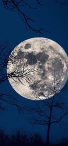 The Full Moon iPhone the moon iphone wallpaper