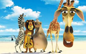 The Funniest and Most Lovable Animals in Madagascar cartoon wallpaper