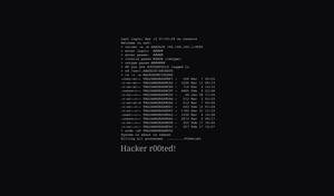 The Future of Cyber Security is Here hacker wallpaper