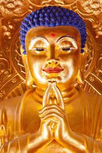 The Golden Buddha - a symbol of ancient wisdom. buddha wallpaper