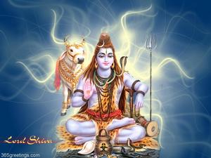 The Great Lord Shiva lord shiva wallpaper