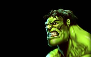 The Hulk Graphic Fan Art hulk wallpaper