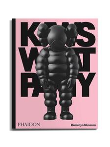 The Iconic Artwork of KAWS kaws wallpaper