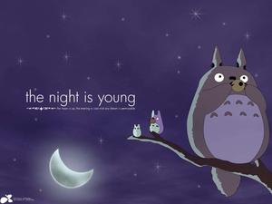 The Imagination of Totoro totoro wallpaper