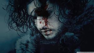 The King In The North, Jon Snow game of thrones wallpaper