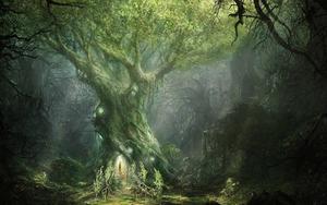 The Lord of the Rings: Fellowship of the Ring lord of the rings wallpaper
