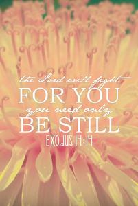 the lord will fight for you, you need only be still exodus 11 bible verse phone wallpaper