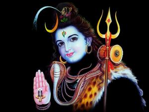 The Majestic Lord Shiva lord shiva wallpaper