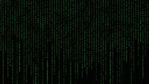 The Matrix is Lit matrix wallpaper