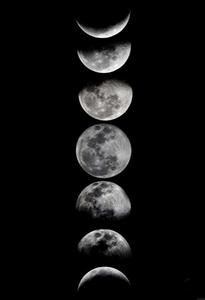 The Moon Phase Iphone the moon iphone wallpaper