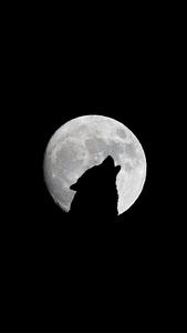 The Moon Silhouette Wolf iPhone the moon iphone wallpaper