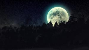 The night sky illuminated by the light of a full moon moon wallpaper