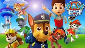 The Paw Patrol is on the case! paw patrol wallpaper