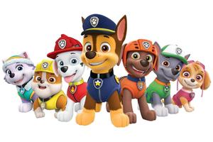 The PAW Patrol is Ready for Adventure! paw patrol wallpaper