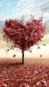 The Perfect Pink Tree for Stylish Girls girl phone wallpaper