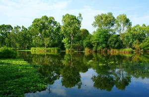 The perfect summer day spent by a tranquil river. summer wallpaper