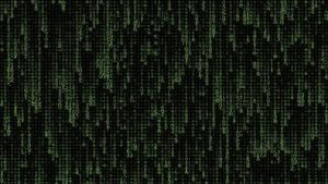 The Philosophical Path of the Matrix matrix wallpaper