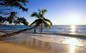 The sun rises on a beautiful beach morning beach wallpaper
