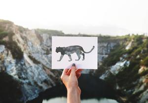 The Wild Geometry of Nature art wallpaper