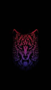 The Wolf: A Powerful Symbol of Strength and Freedom amoled wallpaper