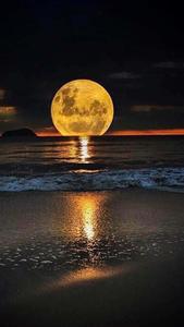 The Yellow Moon Iphone the moon iphone wallpaper