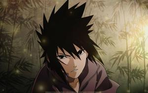 The Young Sasuke Uchiha sasuke wallpaper