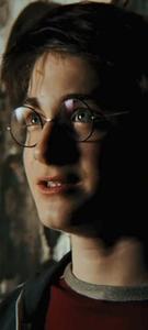 Thelma and Louise of the wizarding world harry potter wallpaper