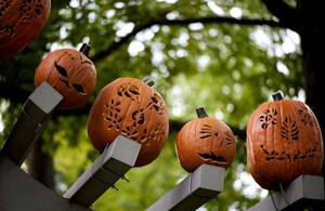 These spooky pumpkins are sure to bring a frightful fright this Halloween! halloween wallpaper