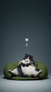 This Cool Cat Is Feeling Lazy cool wallpaper