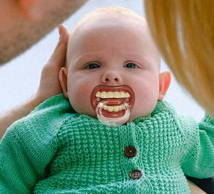 This is hilarious! funny wallpaper