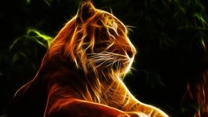 Tiger Chromebook Background chromebook wallpaper