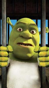 Time for a Fun Shrek Dance! funny shrek wallpaper