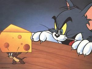 Tom And Jerry Cartoon Cheese tom and jerry cartoon wallpaper