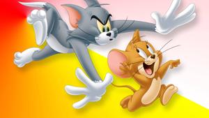 Tom And Jerry Cartoon tom and jerry wallpaper