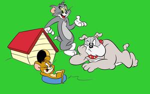 Tom And Jerry Cartoon With Spike tom and jerry cartoon wallpaper