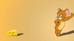 Tom And Jerry Cheese tom and jerry wallpaper