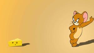 Tom and Jerry in a new adventure! tom and jerry wallpaper