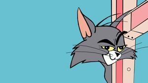 Tom and Jerry Meme tom and jerry wallpaper