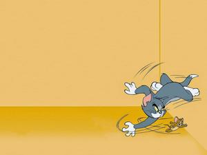 tom and jerry wallpapers tom and jerry wallpaper