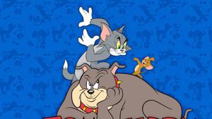Tom And Jerry With Spike tom and jerry wallpaper