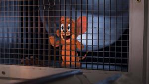 Tom Jerry Mouse 2021 Movie Scene jerry mouse wallpaper