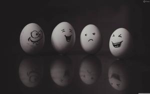 Too much egg-citement! funny wallpaper