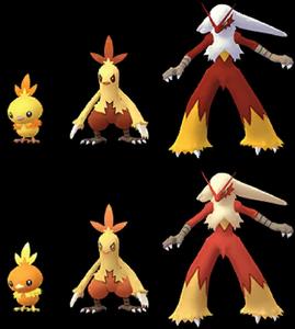 Torchic Combusken Blaziken Evolution Set pokemon wallpaper