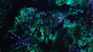 Travel to the magical world of Pandora with Avatar. avatar wallpaper