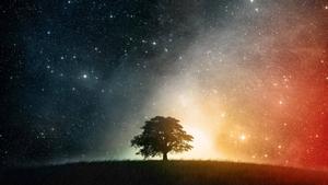 Tree And Vast Universe universe wallpaper