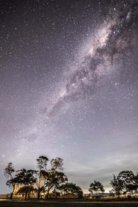 Trees Under Night Sky Phone Background phone wallpaper