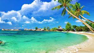Tropical Beach Resort beach wallpaper